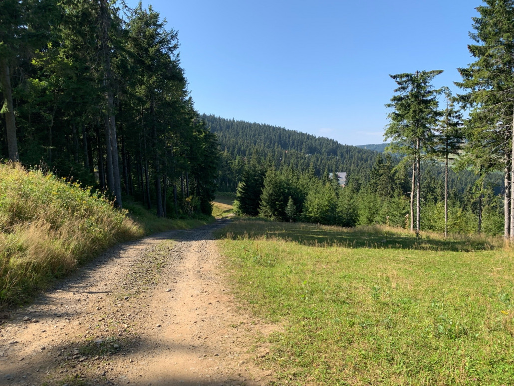 (2a) Ziehweg zur (3) - nach wie vor schmal dort vorn auf den letzten m.