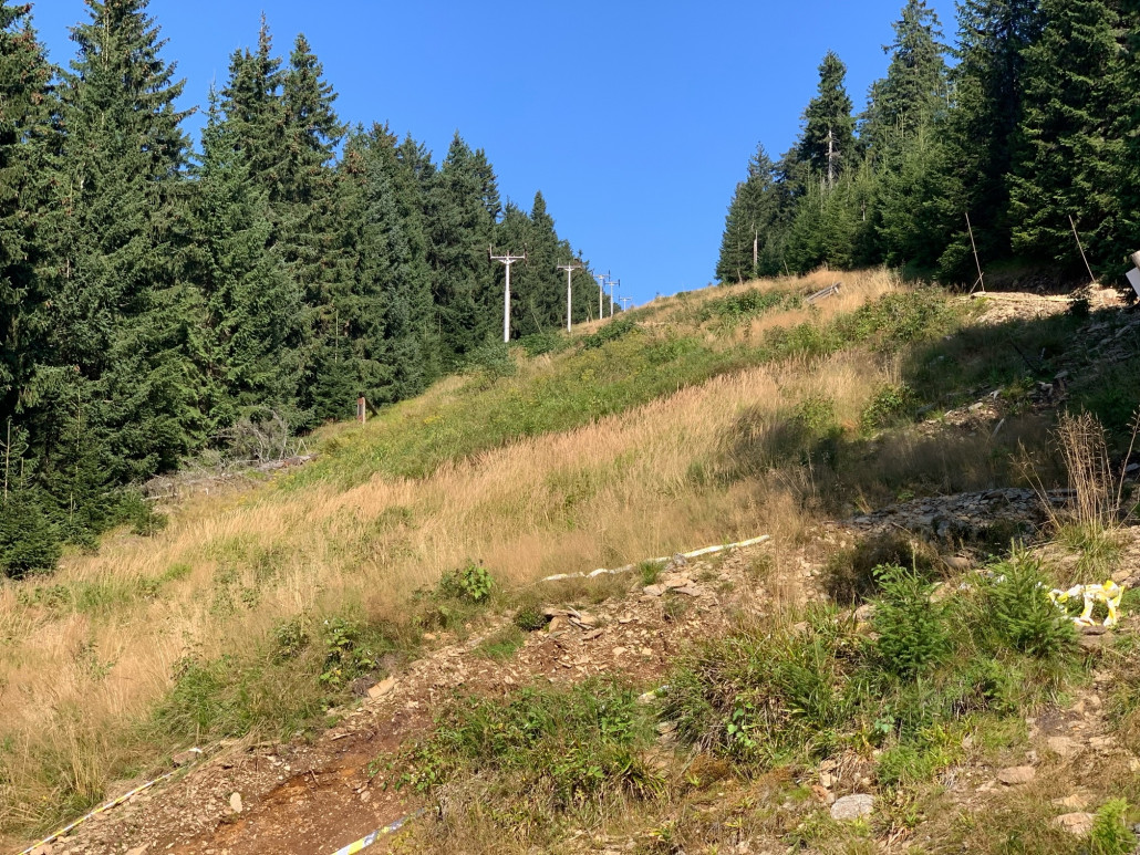 ESL Jachymov; inkl. alter Jachymovska (25). Die Downhillstrecke wurde hier schon über 50% nach rechts in den Wald verlegt