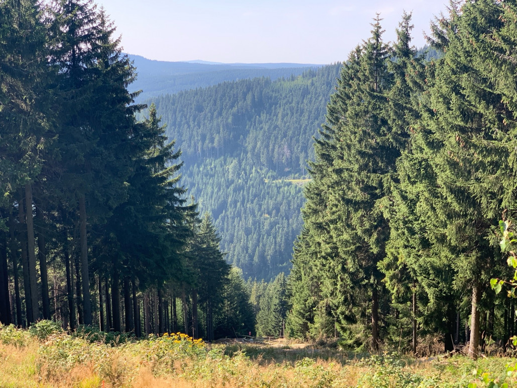 mittlerer Teil der alte Jm (26). Hier ist nach wie vor viel Pistenfläche umgegraben &amp; die Befahrbahrkeit im Winter daher sehr schlecht.