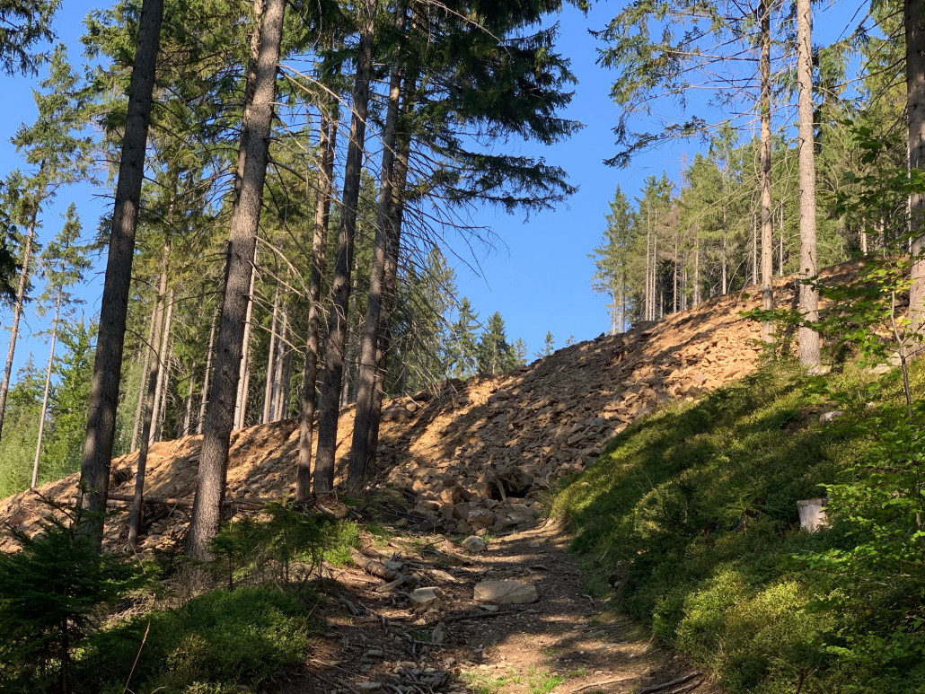 (1b) von einem Bergwärts führenden Waldweg aus betrachtet. Diese Geröllaufschüttung ist ca. 4-5 meter hoch.