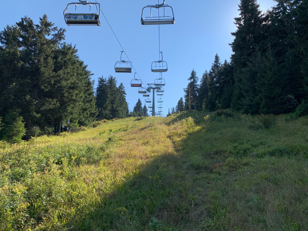 immernoch mein Top-Lift im Gebiet. Unten drunter die inoffizielle Freeride Schneise; durch den lasp-Sl nebenan schön breit.