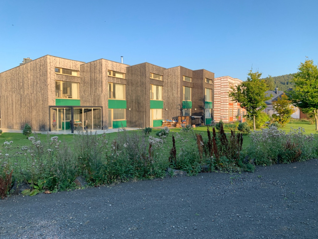 fertige Gartenanlage zu den Blockapartmentgebäuden (ignoriert das Unkraut am Rand :D)