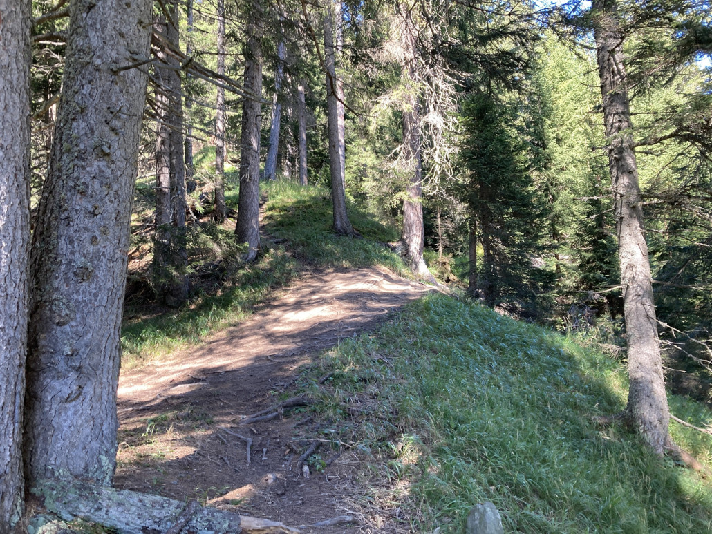 rush_dc animierte mich mit seinem neulichen Bericht, einen für mich gänzlich neuen Trail auszuprobieren. Aufgrund des Kartenmaterials hatte ich mir den Weg deutlich schwieriger vorgestellt (vor allem steiler). Lediglich bei zwei Spitzkehren musste ich einen Fuss absetzen. Die kurzen Bergaufpassagen über Wurzelstufen hemmten den Fahrfluss stärker ;-) <br />Dieser Wanderweg ist dem Anschein nach wenig begangen und noch weniger befahren. Kein Wunder, ist der Einstieg auch relativ versteckt ungefähr auf halbem Weg zwischen Jugendherberge Valbella und Spoina.