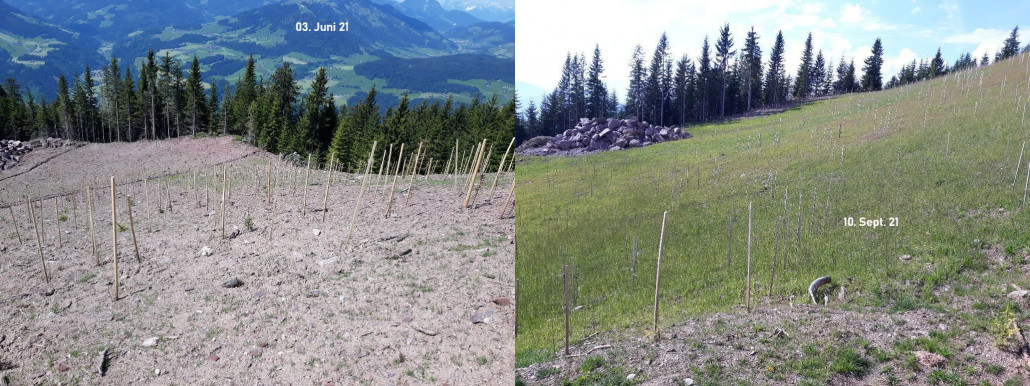 Vergleich vor und nach dem Sommer 2021