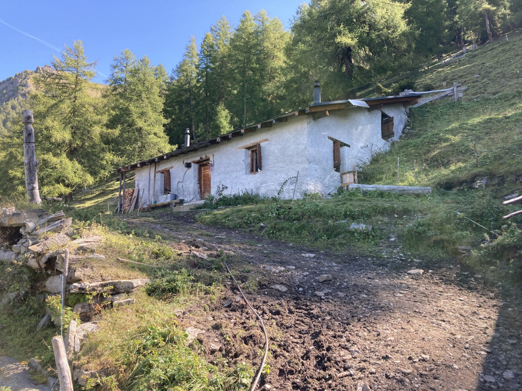 Alp Tamil. Das ganze Areal um die Alp hatte wohl schon bessere Zeiten...