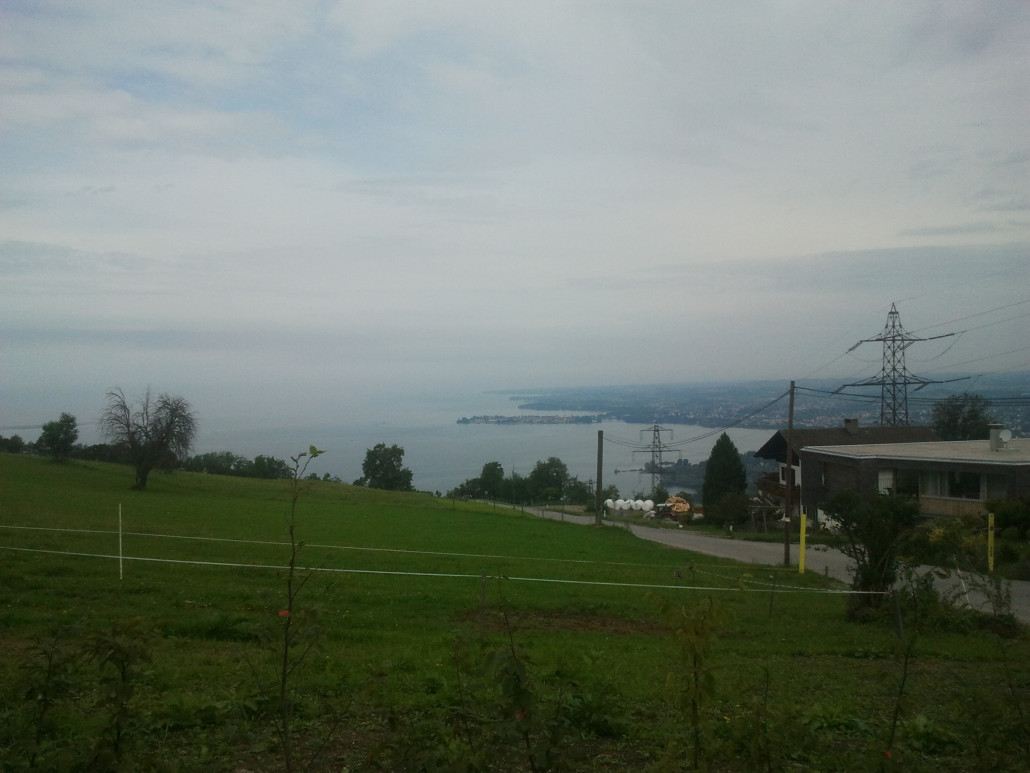 2014-08-02 10.48.12.jpg