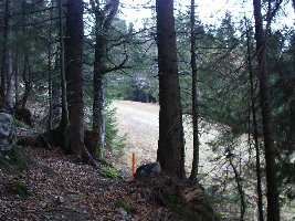 Markierungen für neue Sesselbahn?