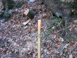 Markierungen für neue Sesselbahn?