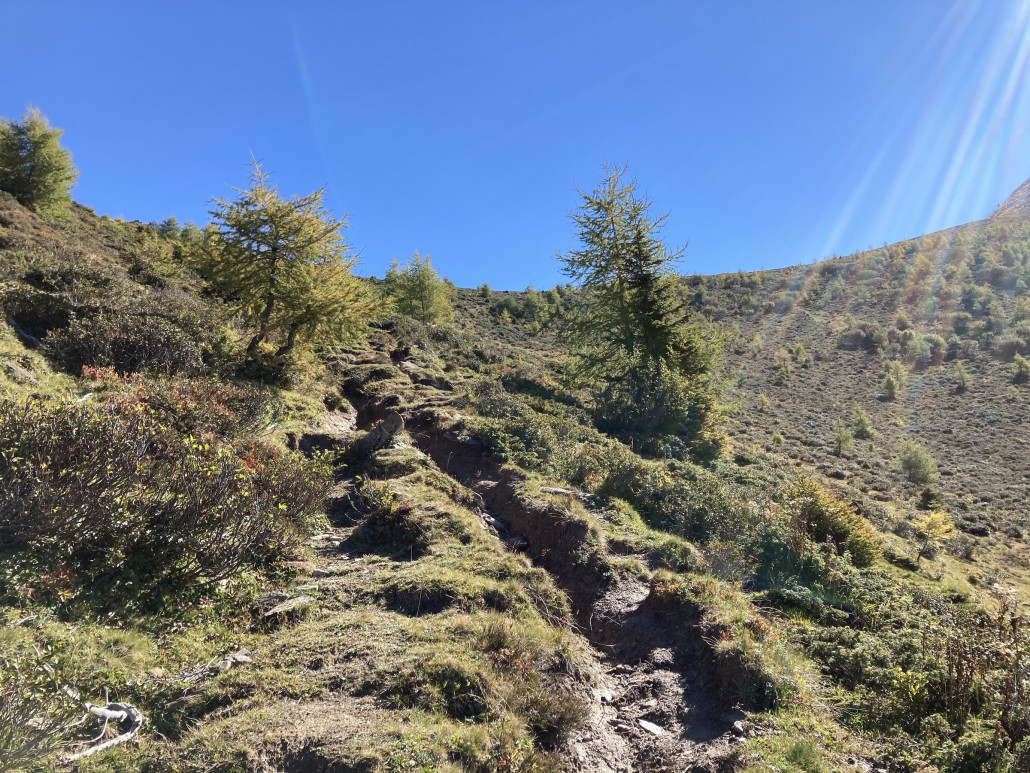 Zur Alp Parnegl. Durchaus anspruchsvoll, da steil.