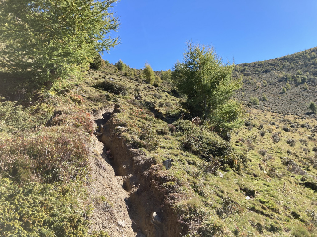 Zur Alp Parnegl. Die Rinne, welche sich über viele Meter zieht, ist bestimmt 40cm tief.