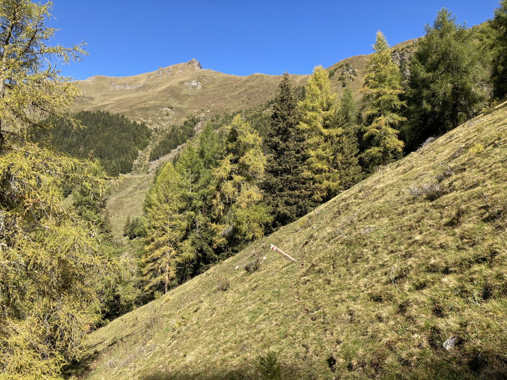 Plötzlich ist nicht mehr ersichtlich, wo es lang geht. In diesem Bereich verfuhr ich mich kurz, fand dann aber rasch wieder zurück.