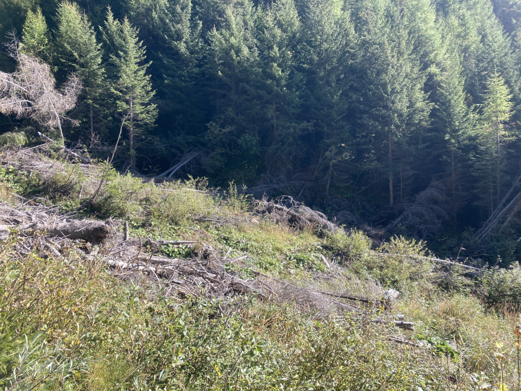 ...es in einen Orientierungslauf überging. Hier schulterte ich das Bike während etwa 15 Minuten.