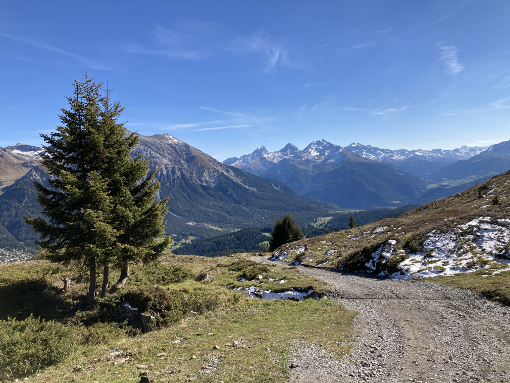 Kurz oberhalb der Talstation des Schlepplifts Gertrud
