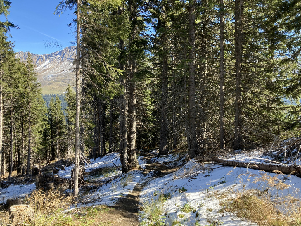 Im Schatten hielt sich der Schnee lange und bis in tiefe Lagen. Hier befinde ich mich bereits deutlich unter 1850m.ü.M. In Kombination mit dem gefrorenen Boden war es einige rutschige Angelegenheit.