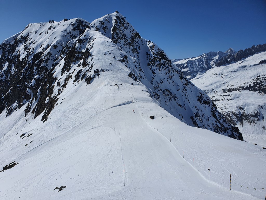 Aletsch_Arena_2021_by_Markus_Hahn (56).jpg