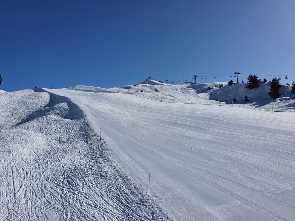 Aletsch_Arena_2021_by_Markus_Hahn (21).jpg