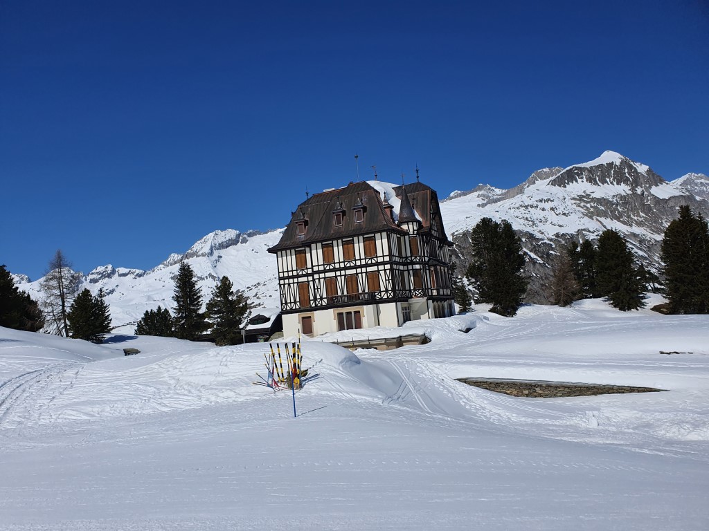 Aletsch_Arena_2021_by_Markus_Hahn (40).jpg