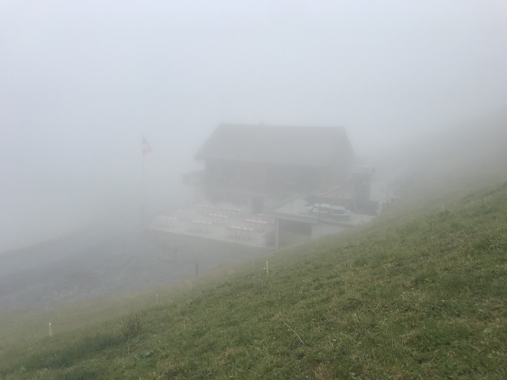 Ausnahmsweise lasse ich das Tannibüel links liegen. War ein Fehler...
