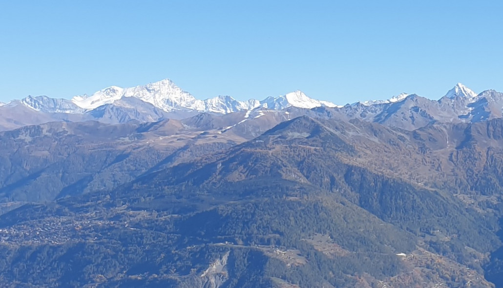 20211024_152814 (2).jpg