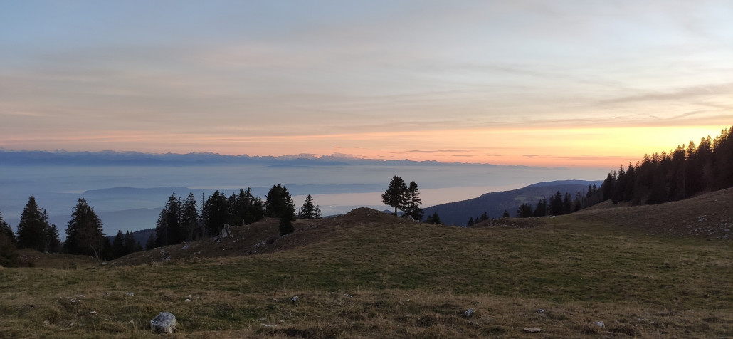 Blick auf den Neuenburgersee