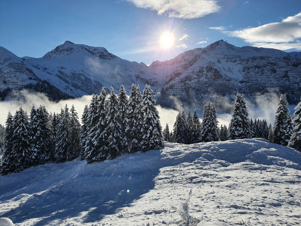 November_2nd_LZTG_by_Markus_Hahn (25).jpg