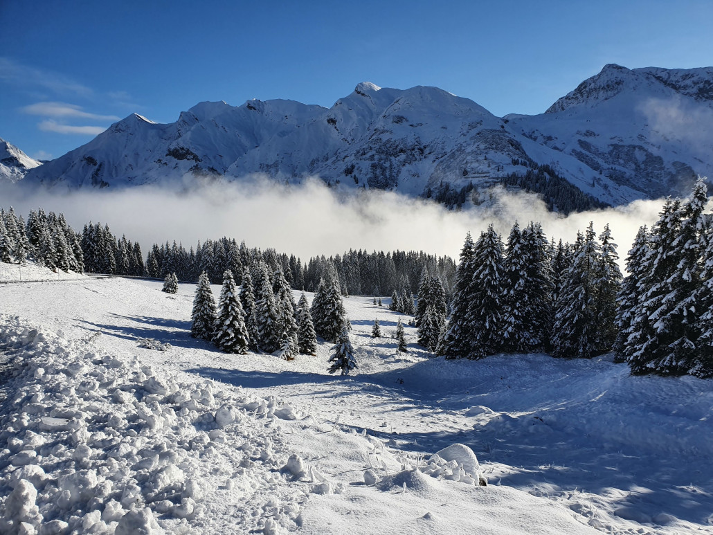 November_2nd_LZTG_by_Markus_Hahn (26).jpg