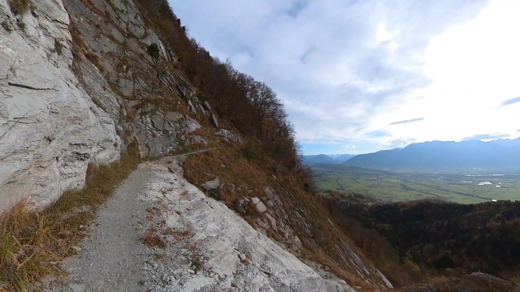 Eine Lichtung im Wald offenbart einen tollen Blick auf das Rheintal