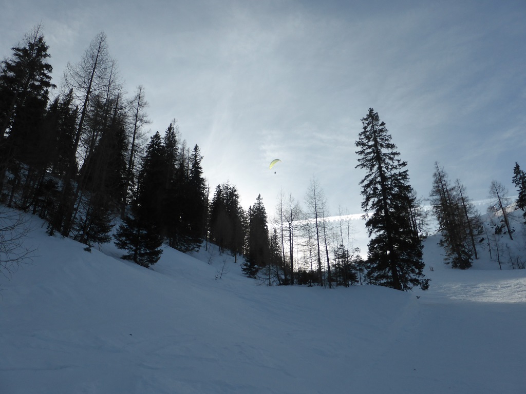 Nachmittagsstimmung auf der Gruber-Spezialpiste mit Paragleiter<br />Fazit: schöner Schitag an einem relativ warmen Jännertag. An einem Wochentag ist das hier auch nicht sehr überlaufen. An Wochenenden bei gutem Wetter wahrscheinlich mehr los, da auch noch gut vom oberösterreichischen Zentralraum erreichbar. Ein Flaschenhals hier ist dann sicher die oben erwähnte Pendelbahn.