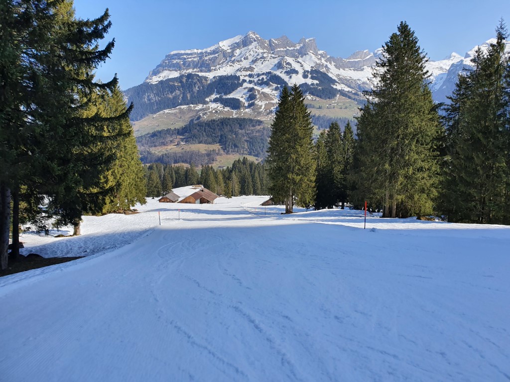 Engelberg_2021_by_Markus_Hahn (43).jpg