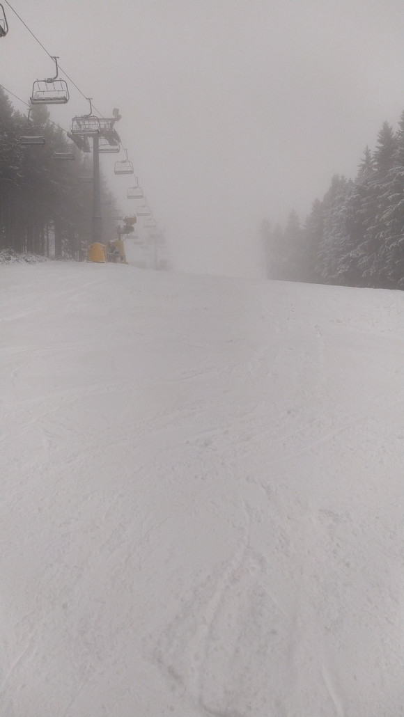 Kleine Büre im Nebel