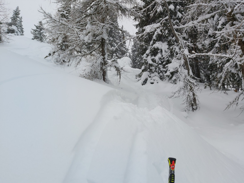 ...was das Gelände kann.