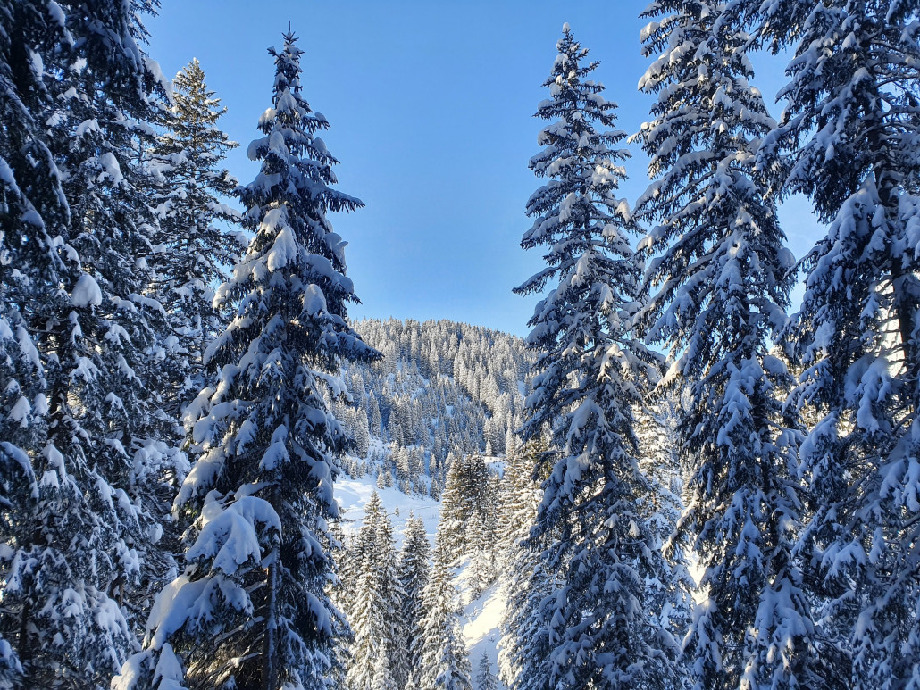 Lech Zürs Anfang Dezember 3 - LZTG - by - Markus Hahn (4).jpg