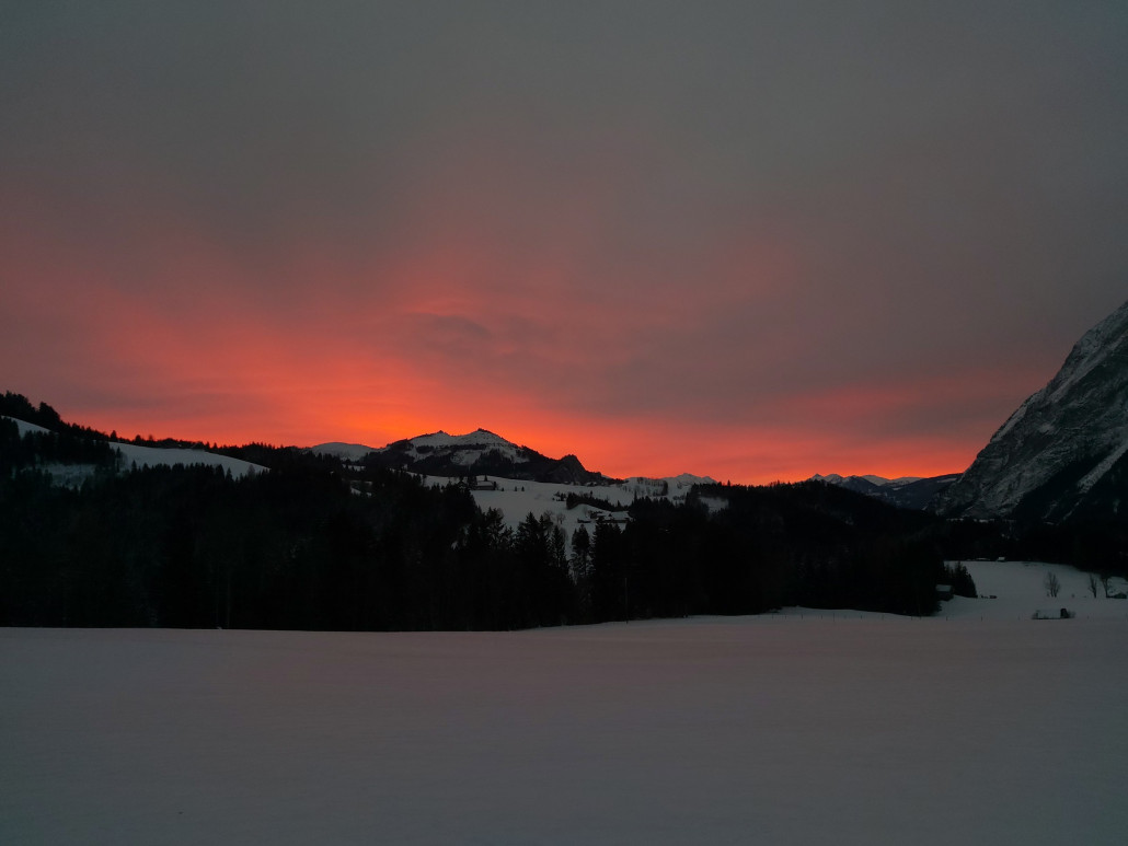 Ein Edit, weil es in der Früh so schön leuchtete.