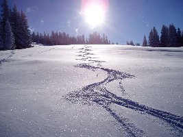 Achja, hab ich erwähnt, daß ich vor dem Arbeiten die Tour gemacht hab? So fängt ein Tag gut an...!