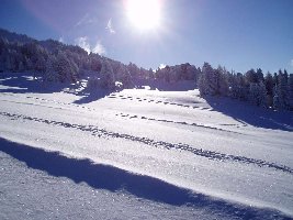 Oberster Teil der Familienabfahrt...
