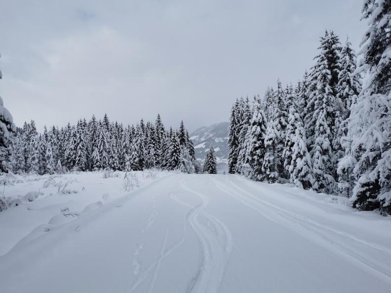 Die Grutten Abfahrt ist einfach idyllisch.jpg