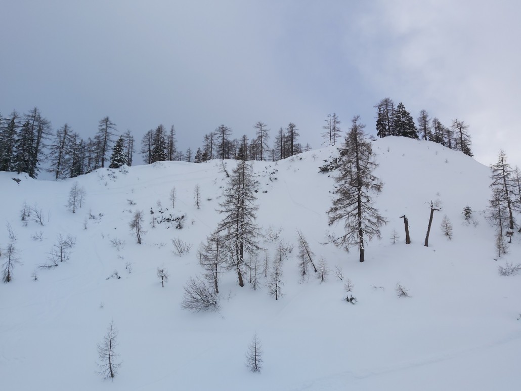 Zwischen den unteren Bäumen ging es gerade runter.