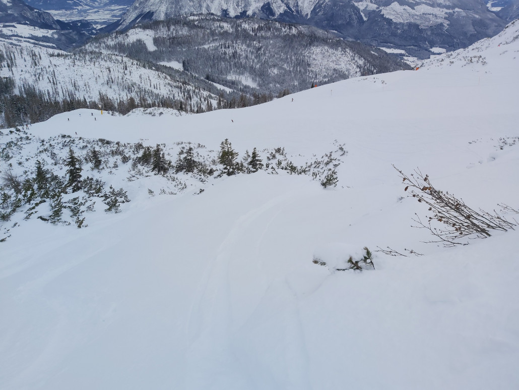 Über die Latschen ein kleiner Jump.