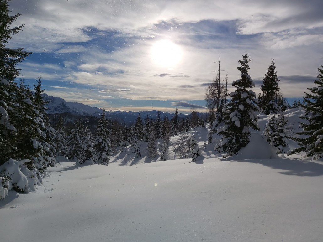 Ab in das Geheimversteck! :D