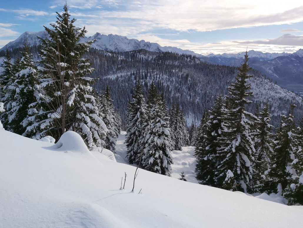 Die Nächste, aber welche?!