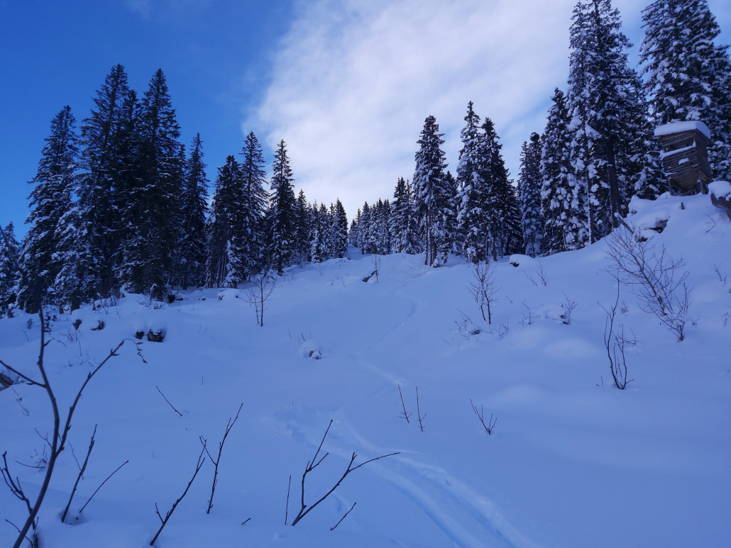 Wieder im ersten Schlag.