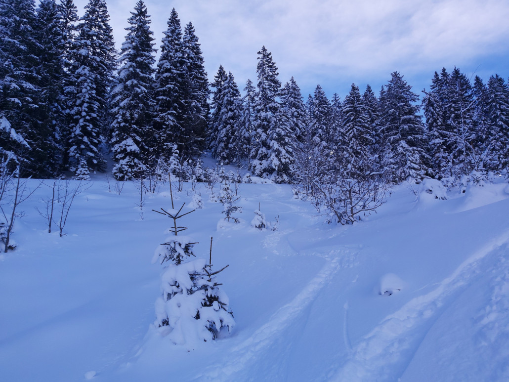 Nix geht mehr. Einfach nur leer.