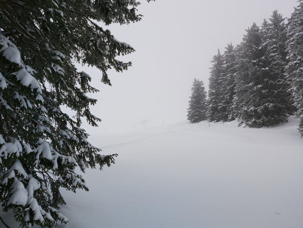 Die Wolken zogen gegen 12:00 Uhr etwas tiefer, dennoch ist die Hohe Salve das Ziel.