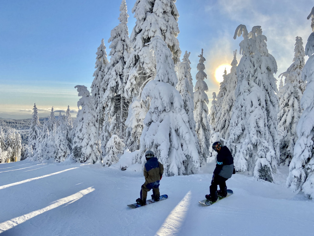 Die Bäume im tollen Winterkleid