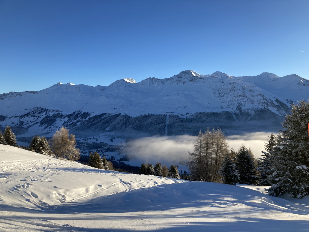 Ausblick von der Alp Nova zur Rothornkette