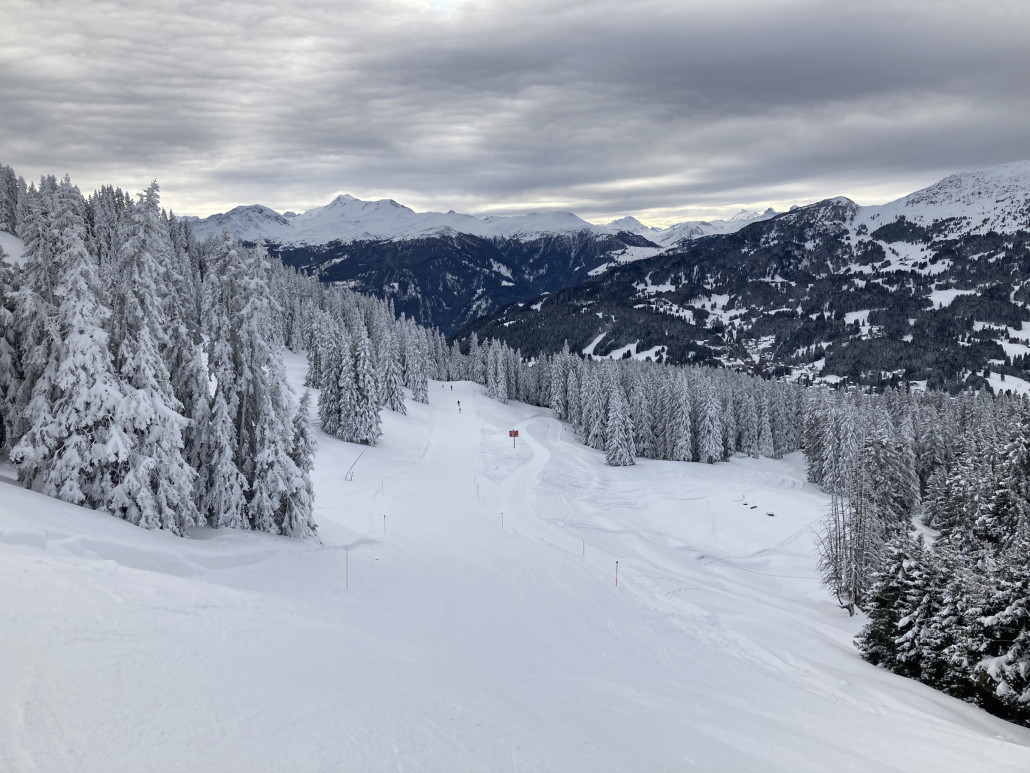 Talabfahrt Scharmoin. Die Bäume sind im Moment unglaublich schön verschneit. So könnte es meinetwegen den ganzen Winter über bleiben.