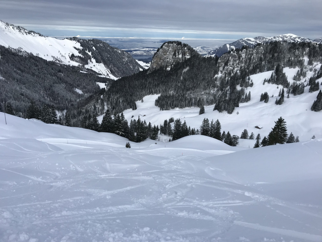 Auch neben der Piste top