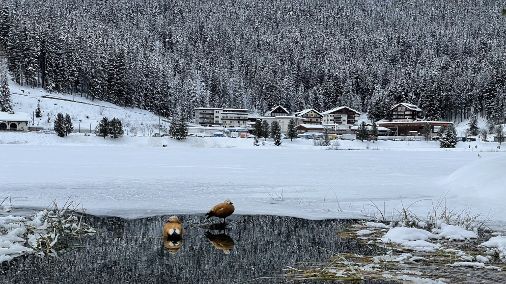 Hallo, wer seid ihr zwei denn?