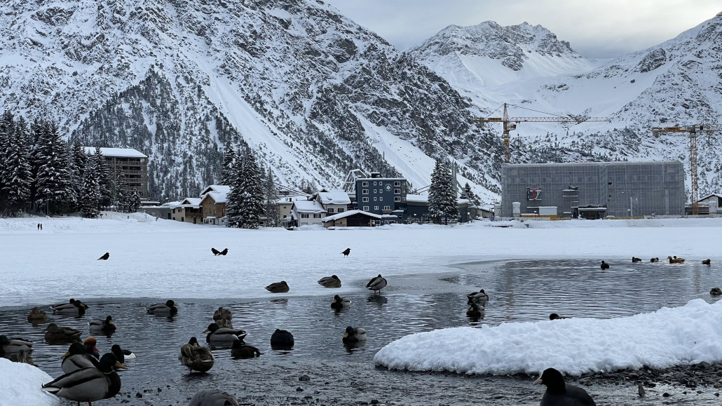 Oh ganz viele Vögel! Sähe gleich viel hübscher aus, wenn da nicht dieser riesige in Gerüst eingepackte Bau wäre. Der passt allgemein von der Größe her nicht ins (Stadt)Bild :(