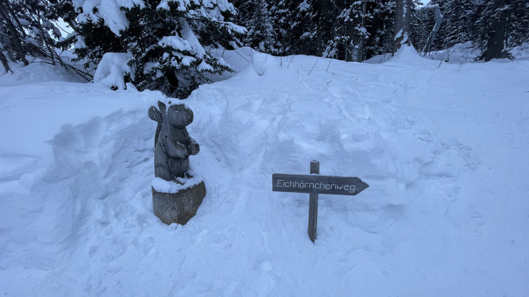 Ein (für mich Aus)gang zum (vom) Eichhörnchen-Weg